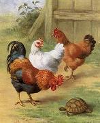 unknow artist Cocks 104 china oil painting reproduction